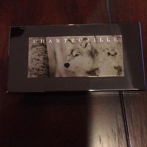 Chantecaille eye shadow palette